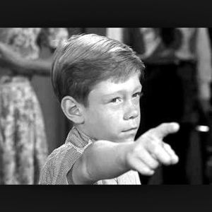 Meet your Posher, Wilton